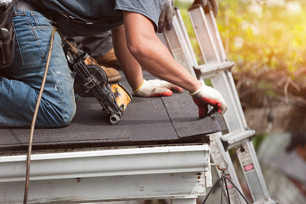 Best Roof Gutter Cleaning  in Highland Springs, VA